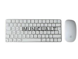 Apple Magic Keyboard (a2450)+magic Mouse 2 (A1657)