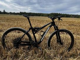 MTB karboninis