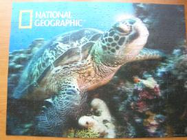 Dėlionė National Geographic ,Sea Turtle" 500