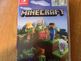Minecraft Nintendo Switch