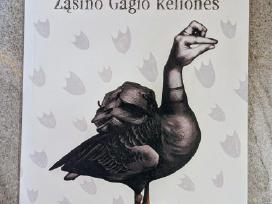 Žąsino Gagio kelionės