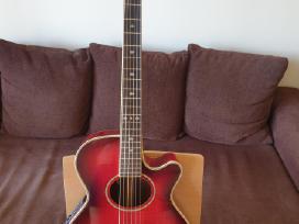 Crate Cimarron Ca15u ir elektroakustinė gitara