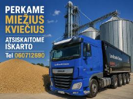 Superkame naujo derliaus grūdus visoje Lietuvoje