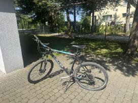Pigiai! Kellys Spider kalnų dviratis