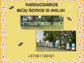 Parduodamos bičių šeimos ir aviliai