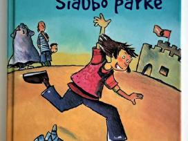 Painiava Siaubo parke