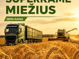Brangiai Superkame Miežius