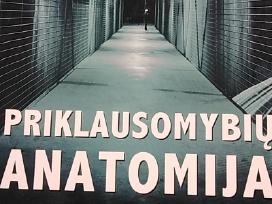 Priklausomybių anatomija