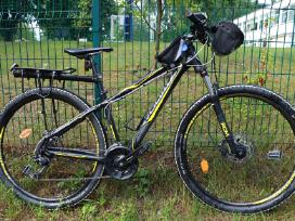 Dviratis Shimano Raam