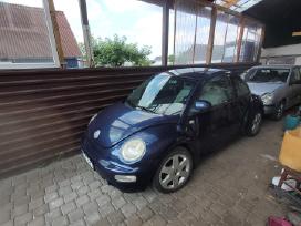 Beetle