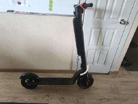 El.paspirtukas Beaster Scooter Bs801b