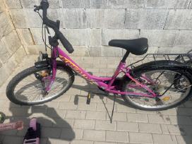 Dviratis paulgliams už 39 eur.
