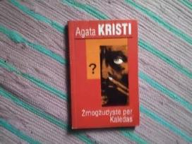 Žmogžudystė per Kalėdas Agatha Christie