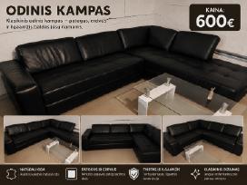 Odinis lampas