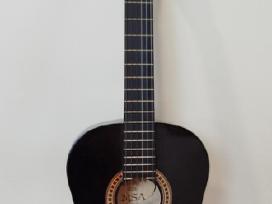 Klasikine gitara