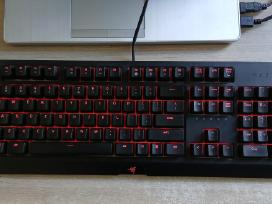 Razer Blackwidow Green switches