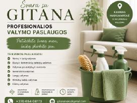 Švara su Gitana / Profesionalios valymo paslaugos
