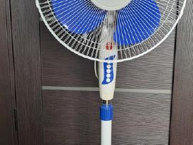 Vejelis