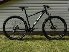 Giant 29" Kalnų dviratis