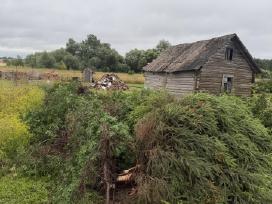 Atiduodu dovanoju išrautus medžius ir augalus