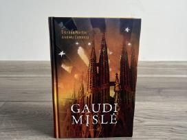 Esteban Martin, Andreu Carranza Gaudi mįslė