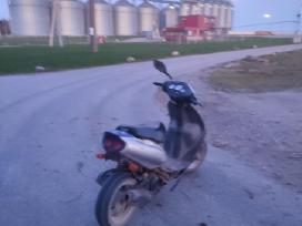 Sym 50
