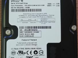 Kietas diskas Wd Caviar Raid Edition 320gb/7200rpm