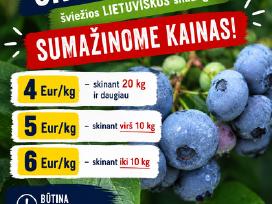 Šilauogės – skinkis pats, Rumšiškės, Kauno r.