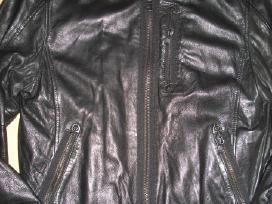 Odine medium