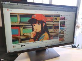 Dell P2417h horizontaus - vertikalus monitorius