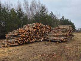 Nupirkčiau Alksnio malką/tarą