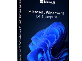 Windows 11 Iot Enterprise Ltsc aktyvacijos raktas