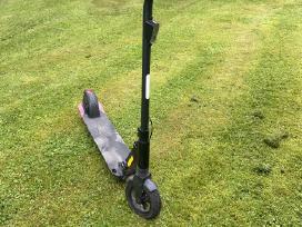 Doc Green Eco 800, 350 W, elektrinis paspirtukas.