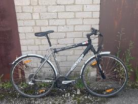Scott Sportster P5 dviratis