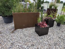 Corten, dažyti metaliniai vazonai