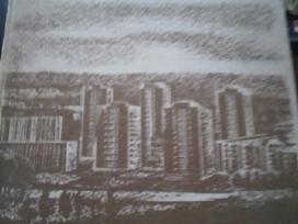 Vilniaus miesto istorija