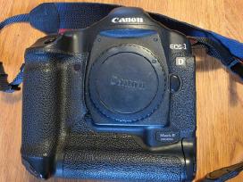 Canon 1D Mark II, Tamron 105-28, Canon 540/ez