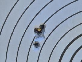 Blaser r8 6.5x55