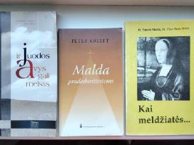 Ir juodos avys gali melstis. Malda. Kai meldžiatės