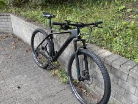 Bulls Bushmaster RS karboninis