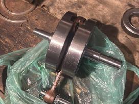 Iz planeta sport alkuninis velenas