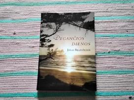 Degančios dienos Jonas Brazdžionis