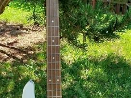 Bosine gitara
