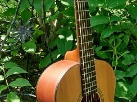 Fender akustine gitara.
