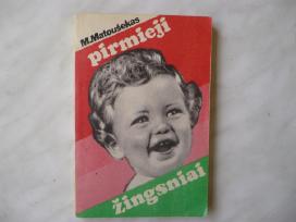 M. Matoušekas - Pirmieji žingsniai