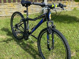 Azimut MTB 1.0 kalnų dviratis