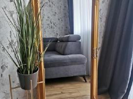 Veidrodis su rėmu 120x60