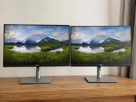 Dell P2425h 24" Ips 100 Hz monitorius