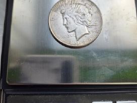 Sidabrinė moneta, 1 peace dollar