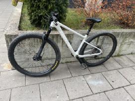Santa Cruz highball Cc 2022